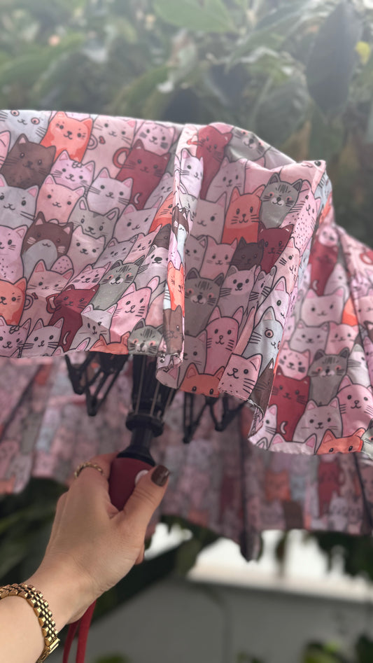 Cat’s Umbrella